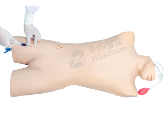 骨髓穿刺及股静脉穿刺模型