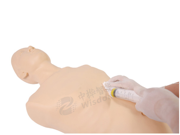 心包穿刺训练模型