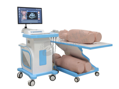 虚拟超声训练系统