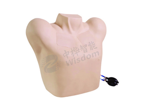 胸腔穿刺模拟人